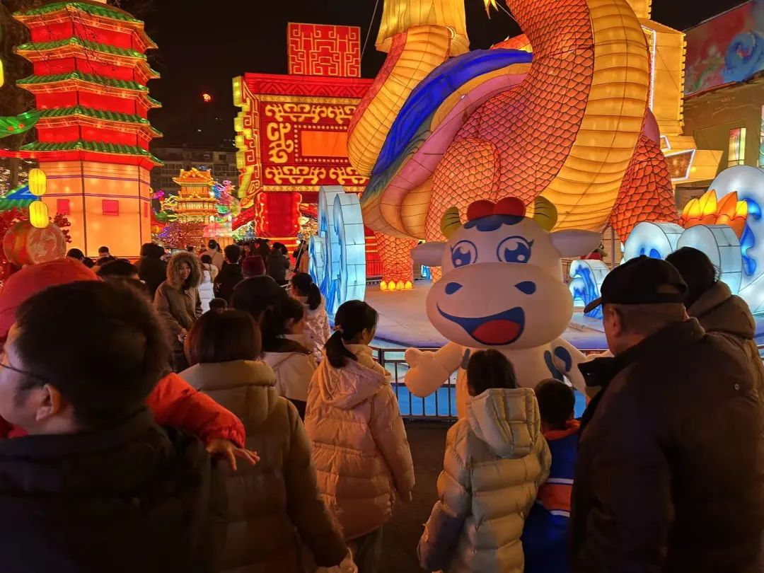 央視直播鄭州龍年燈會迎新春，花花牛品牌上大分