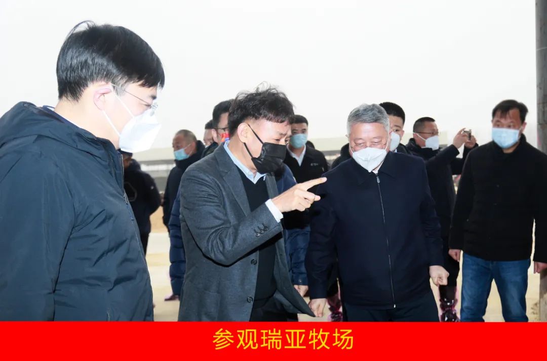 新年開新局 合作促發展丨佳木斯市委常委、副市長閆志剛一行蒞臨花花牛乳業集團及佳田企業考察座談 新年開新局 合作促發展丨佳木斯市委常委、副市長閆志剛一行蒞臨花花牛乳業集團及佳田企業考察座談