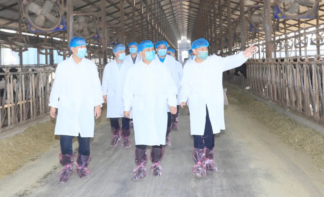 快訊丨河南省人民政府副省長武國定蒞臨花花牛乳業集團瑞亞牧業調研奶源基地建設情況 快訊丨河南省人民政府副省長武國定蒞臨花花牛乳業集團瑞亞牧業調研奶源基地建設情況