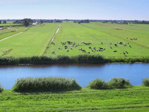 春風(fēng)吹 戰(zhàn)鼓擂——不負春天好時光 春風(fēng)吹 戰(zhàn)鼓擂——不負春天好時光