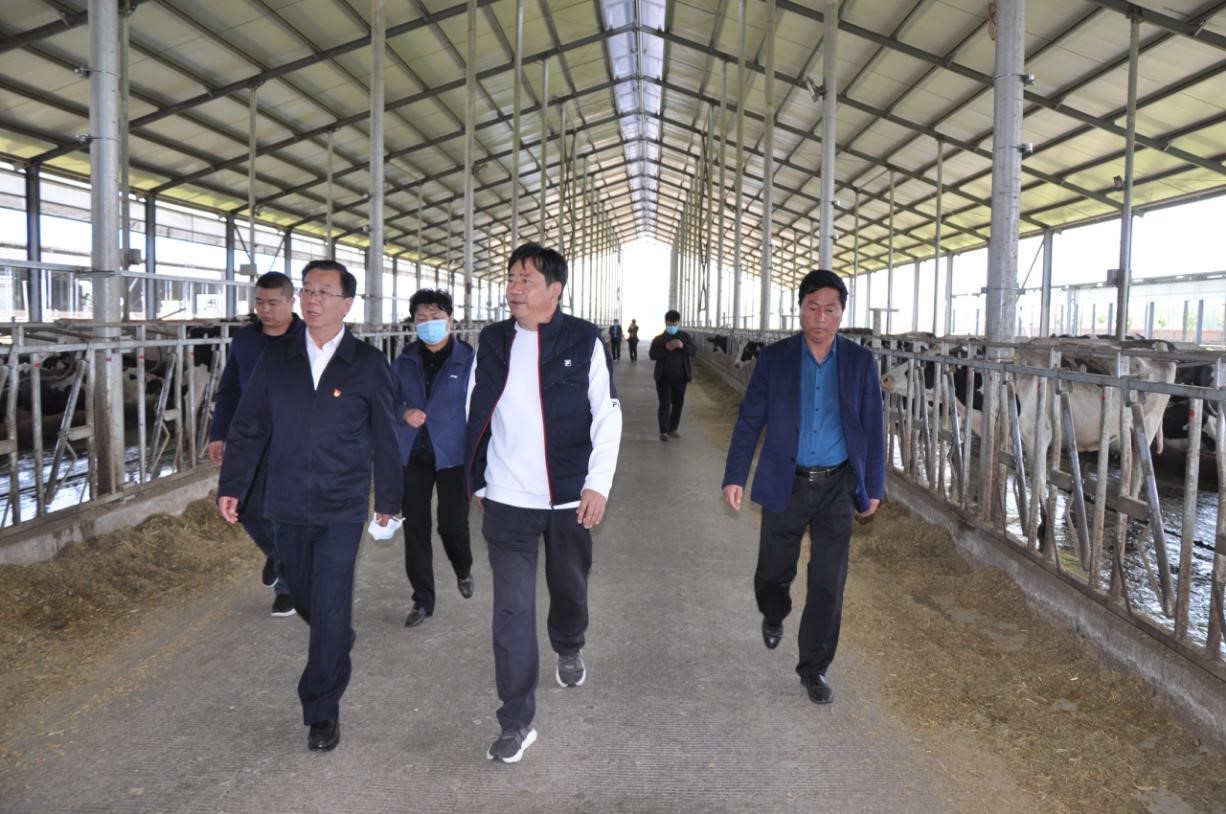 商丘市委常委、宣傳部部長(zhǎng)王全周一行蒞臨睢縣瑞亞牧業(yè)有限公司調(diào)研 商丘市委常委、宣傳部部長(zhǎng)王全周一行蒞臨睢縣瑞亞牧業(yè)有限公司調(diào)研
