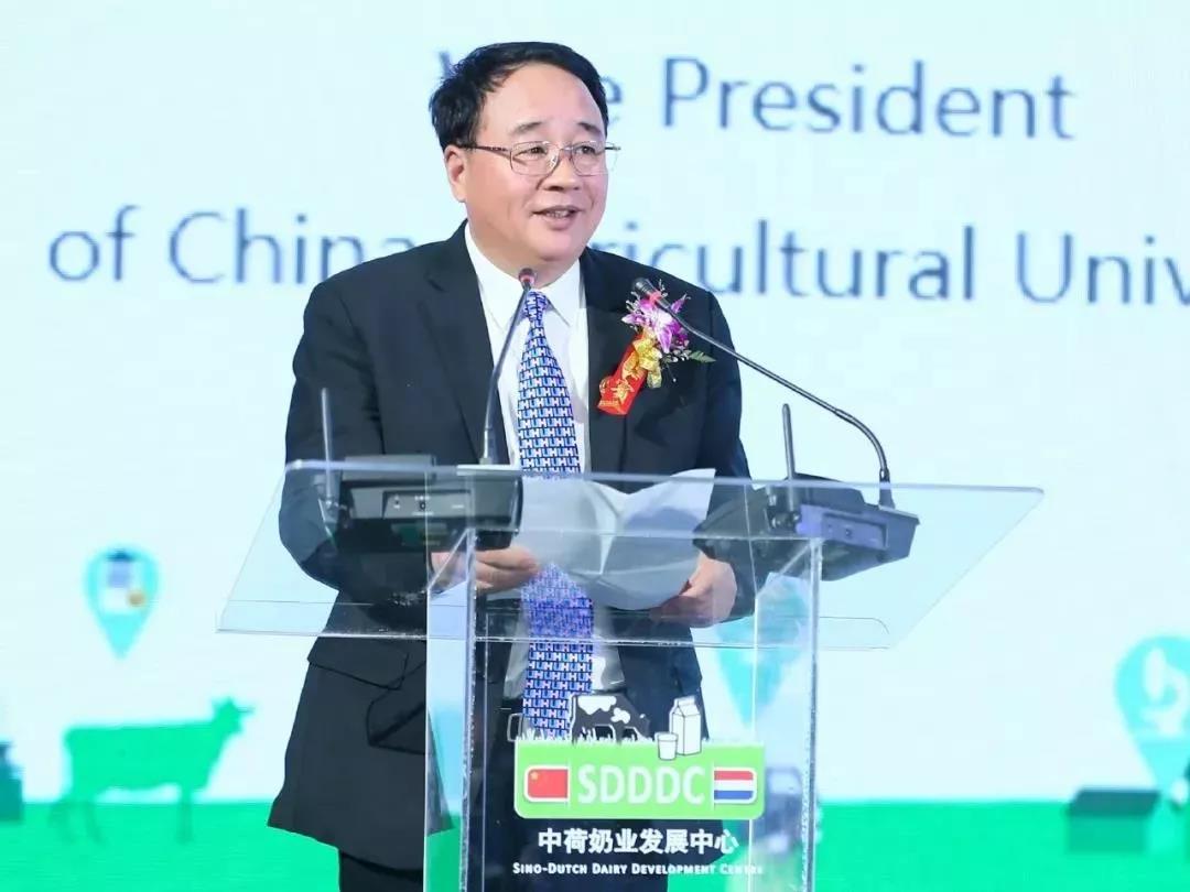 SDDDC走進河南,看看花花牛的國際范兒! SDDDC走進河南,看看花花牛的國際范兒!