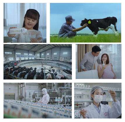 花花牛亮相中國奶業20強呼倫貝爾峰會,共話中國奶業振興! 花花牛亮相中國奶業20強呼倫貝爾峰會,共話中國奶業振興!