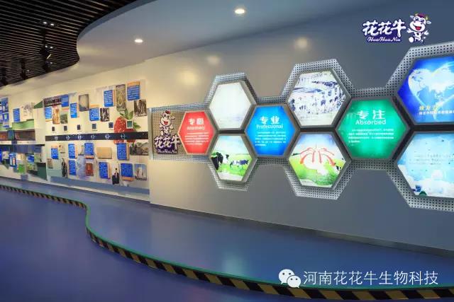 花花牛：務(wù)實(shí)、創(chuàng)新領(lǐng)潮市場(chǎng) 大企業(yè)體現(xiàn)大擔(dān)當(dāng)