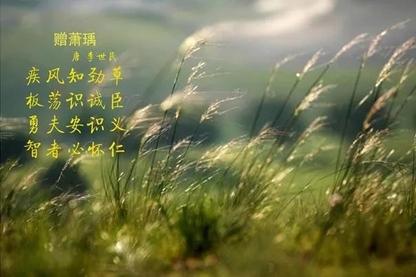 花花牛 | 疾風(fēng)來臨，你是不是勁草？